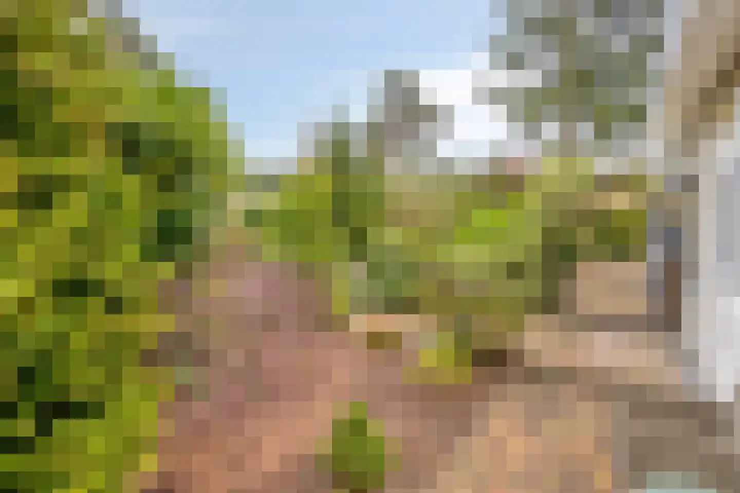 Potdijk 8 E1 Markelo thumbnail 42