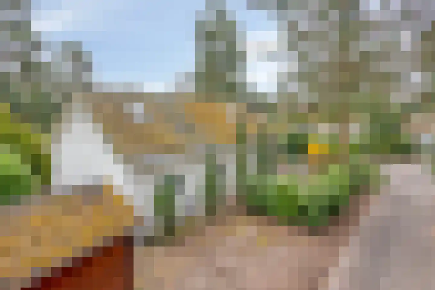 Potdijk 8 E1 Markelo thumbnail 47