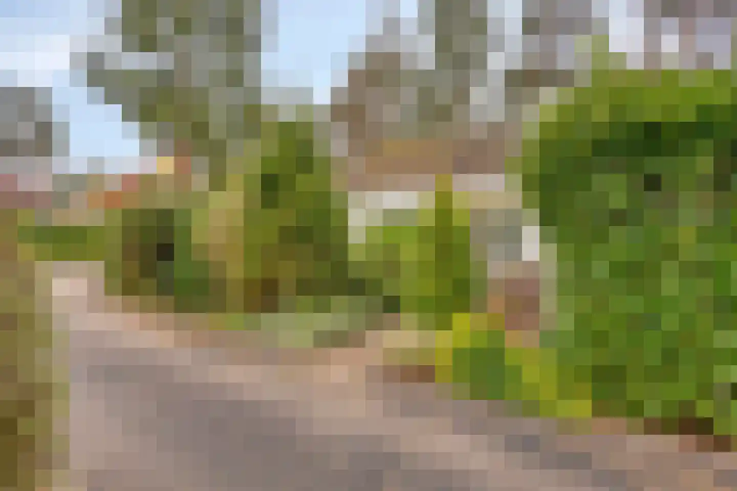 Potdijk 8 E1 Markelo thumbnail 49