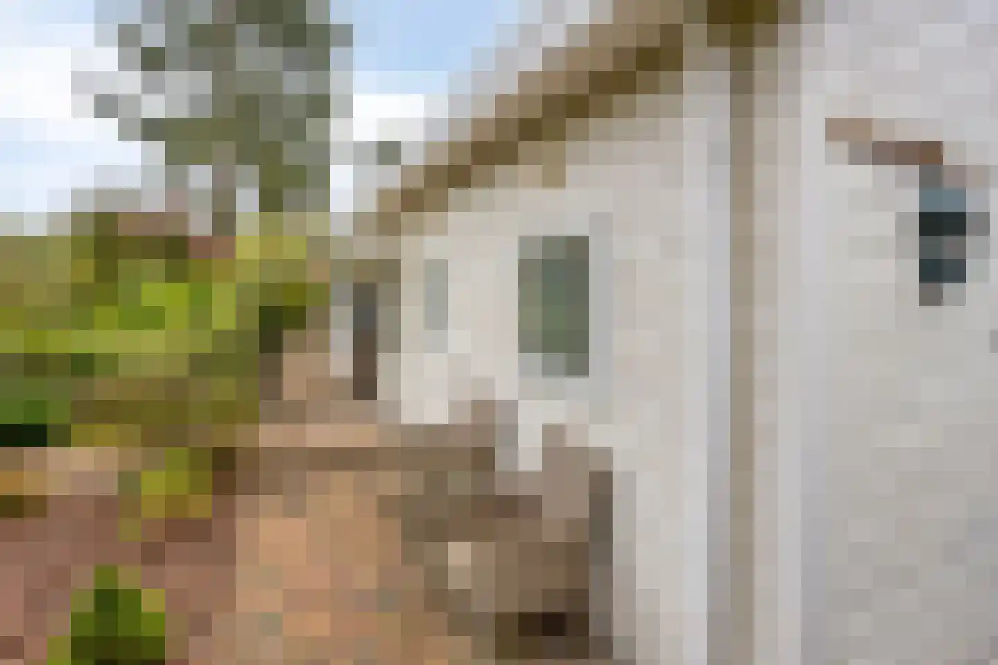 Potdijk 8 E1 Markelo thumbnail 9