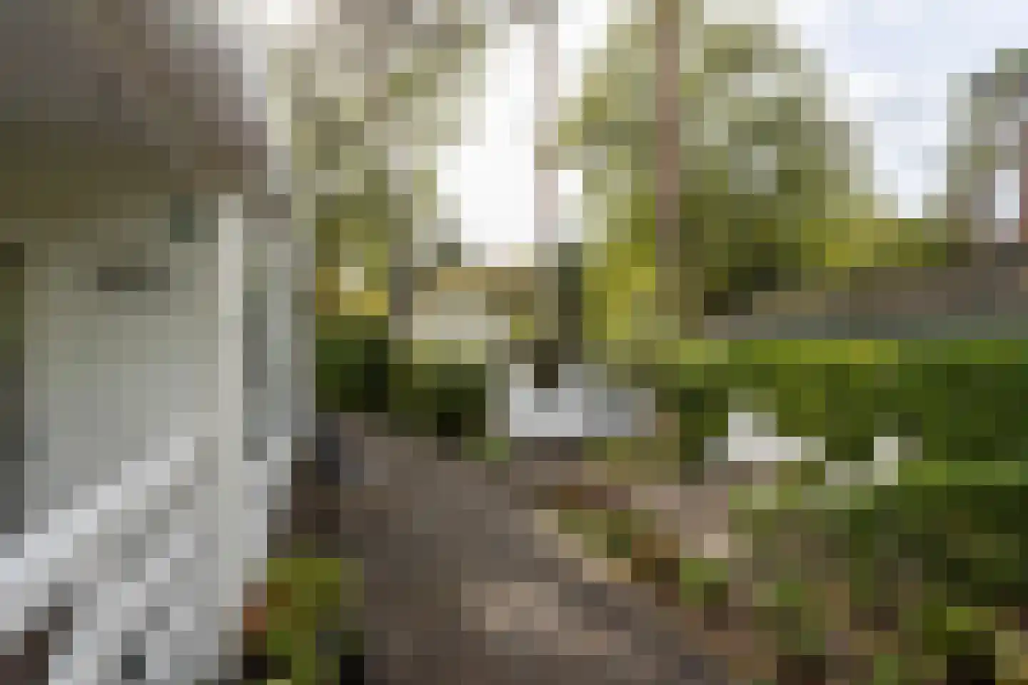 Potdijk 8 E23 Markelo thumbnail 10