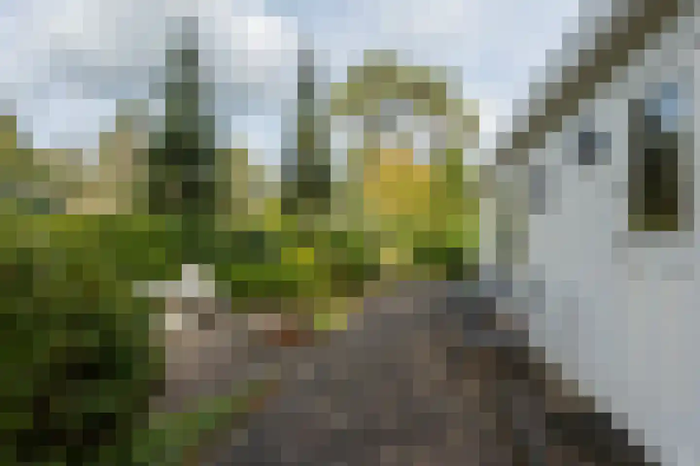 Potdijk 8 E23 Markelo thumbnail 11