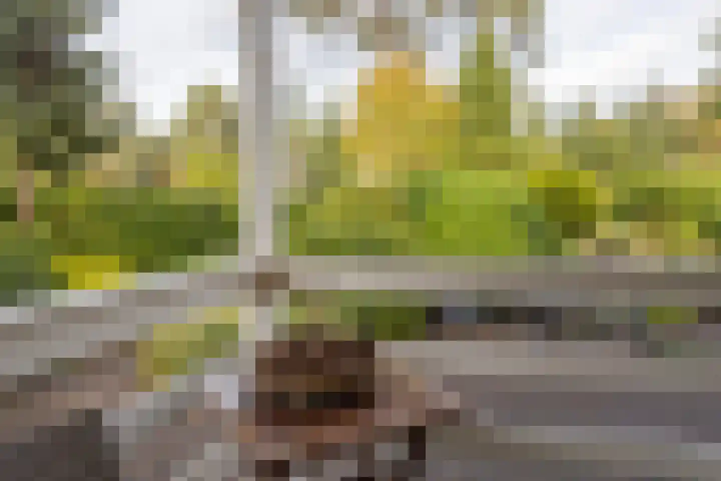 Potdijk 8 E23 Markelo thumbnail 16