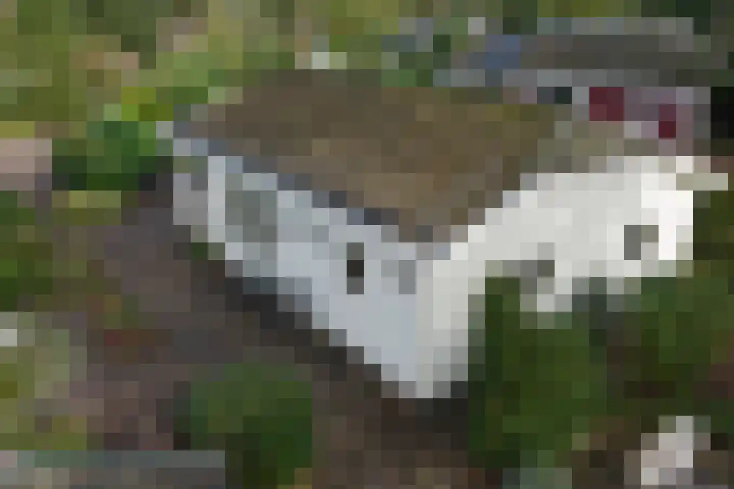 Potdijk 8 E23 Markelo thumbnail 32