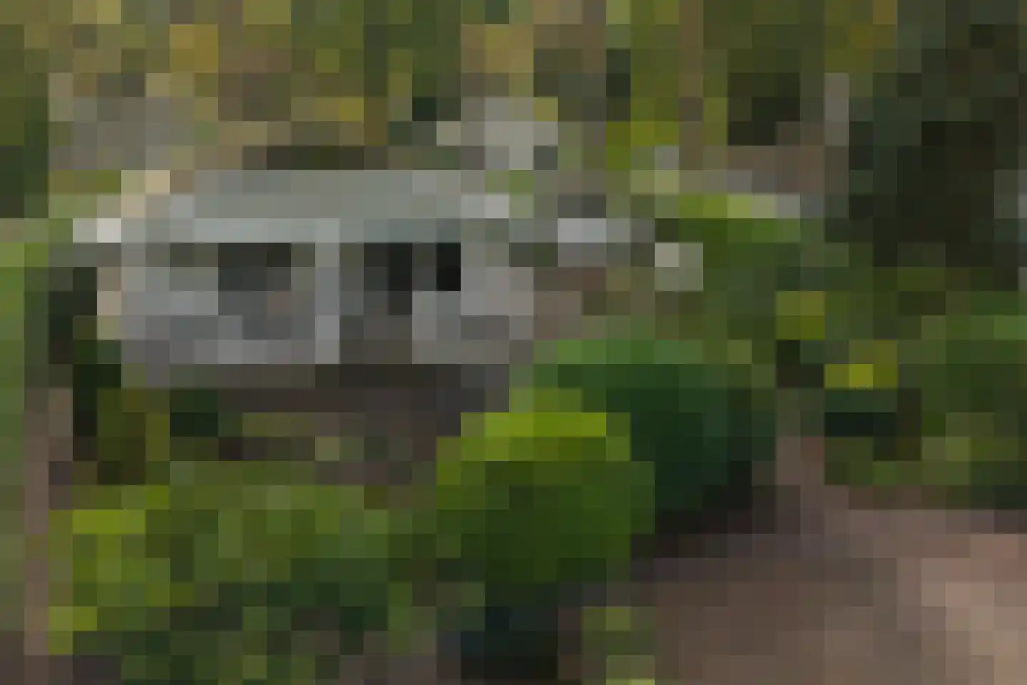 Potdijk 8 E23 Markelo thumbnail 33