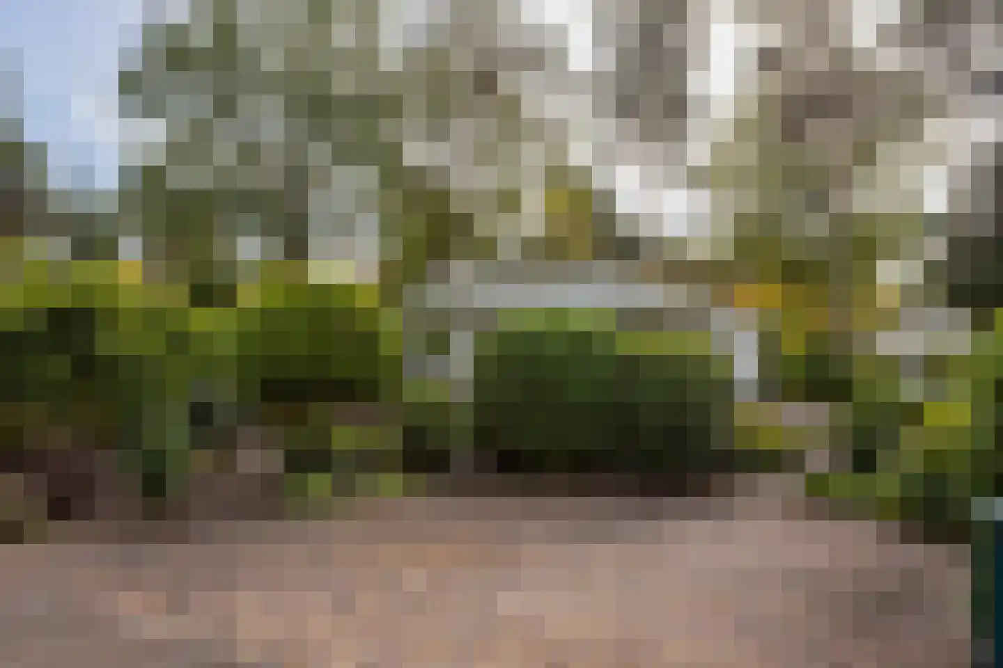 Potdijk 8 E23 Markelo thumbnail 34