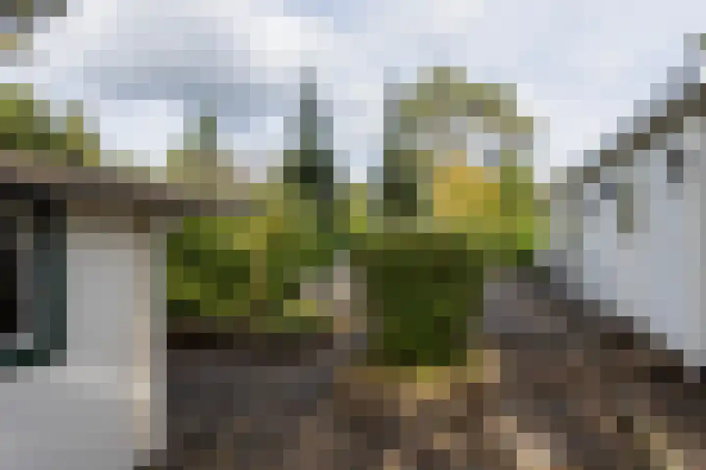 Potdijk 8 E23 Markelo thumbnail 37