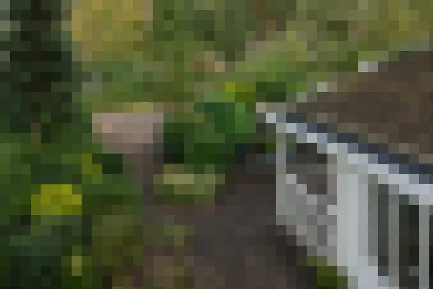 Potdijk 8 E23 Markelo thumbnail 39