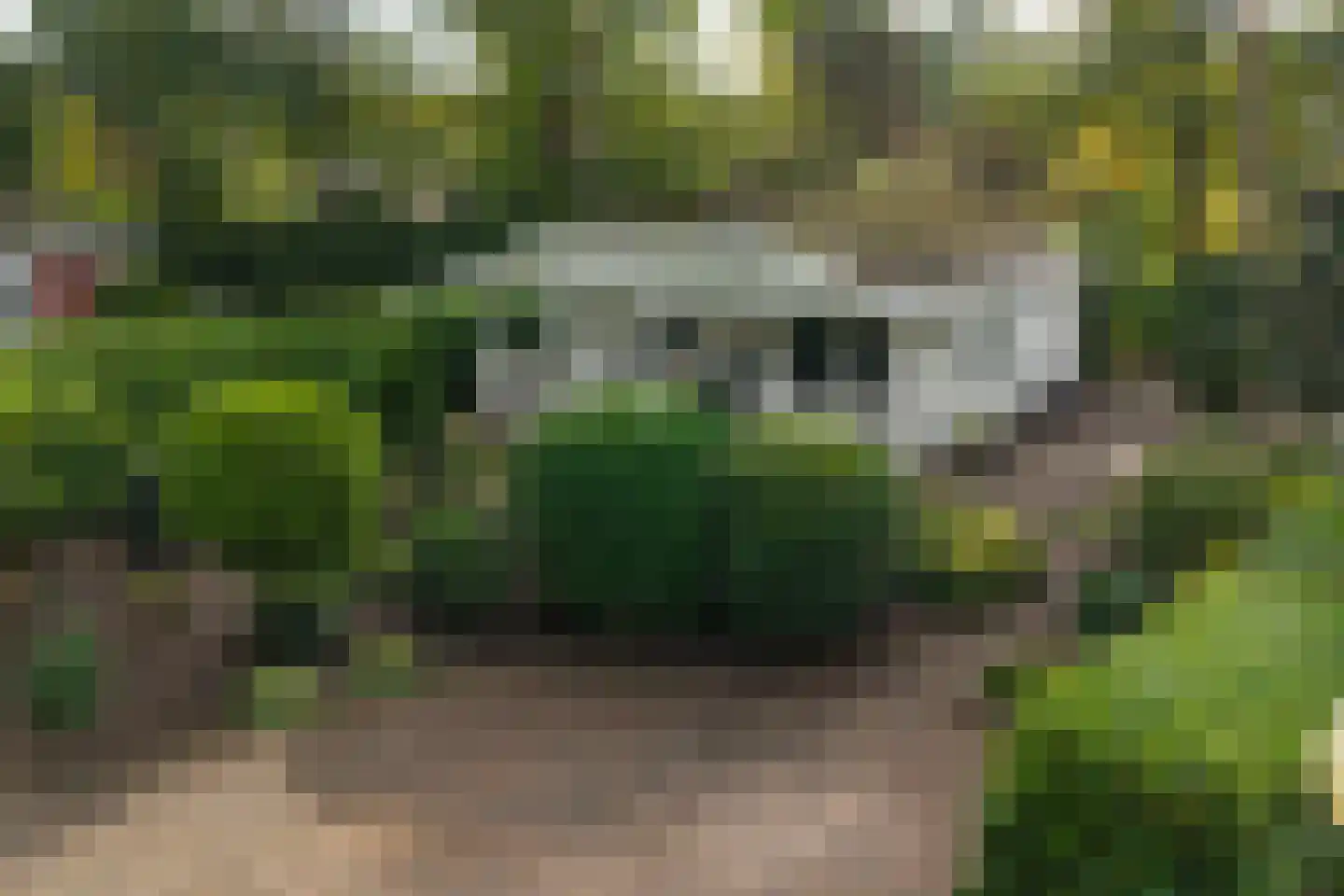 Potdijk 8 E23 Markelo thumbnail 4