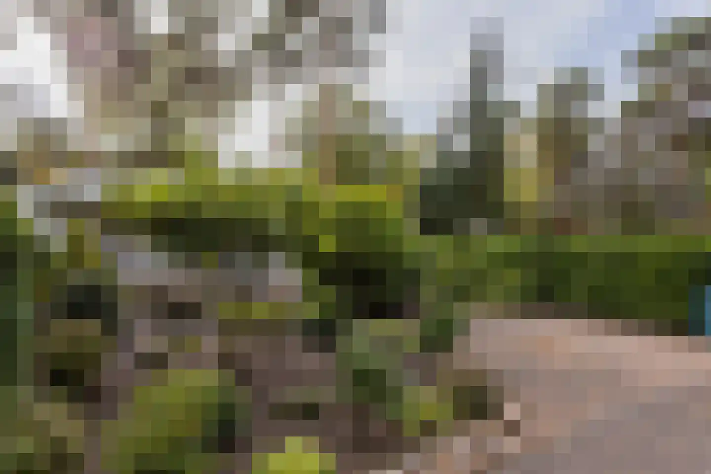 Potdijk 8 E23 Markelo thumbnail 40