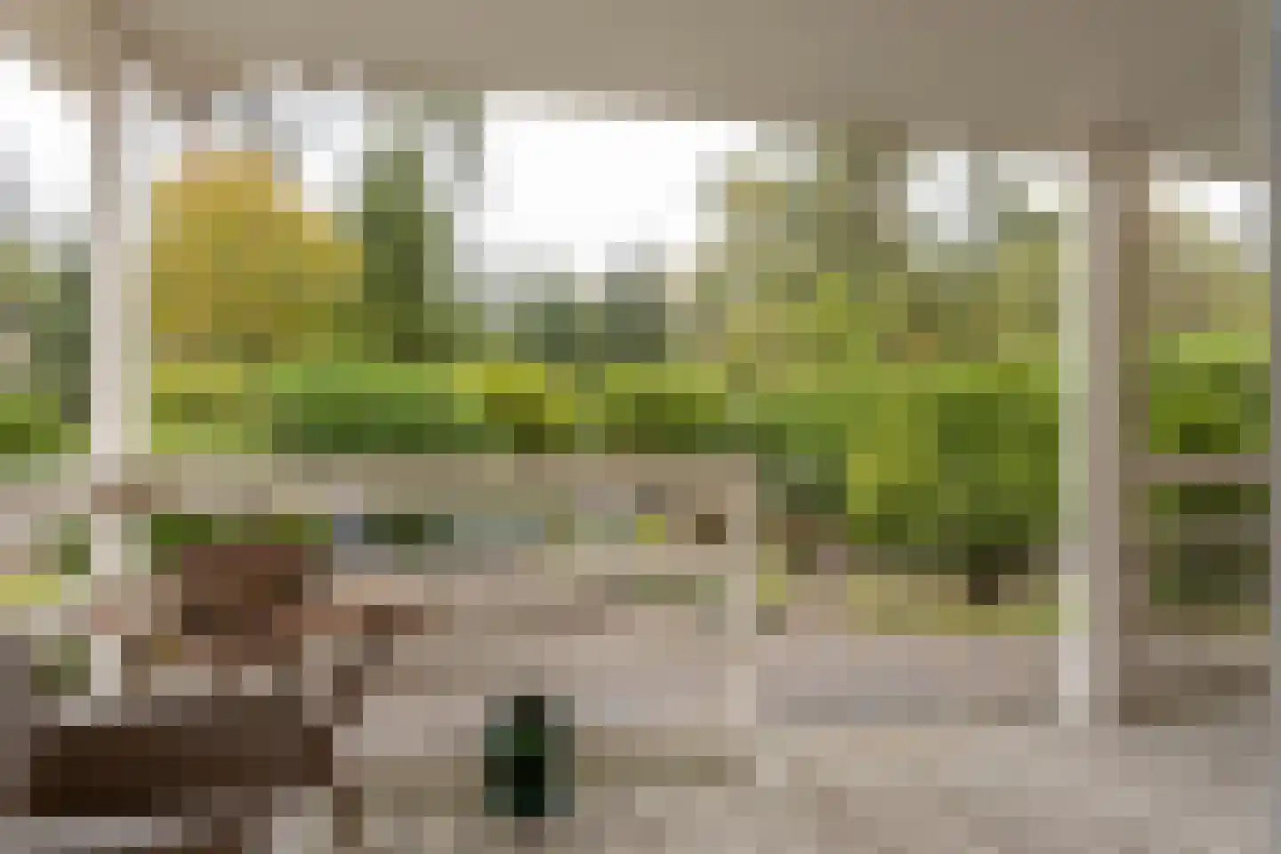 Potdijk 8 E23 Markelo thumbnail 6