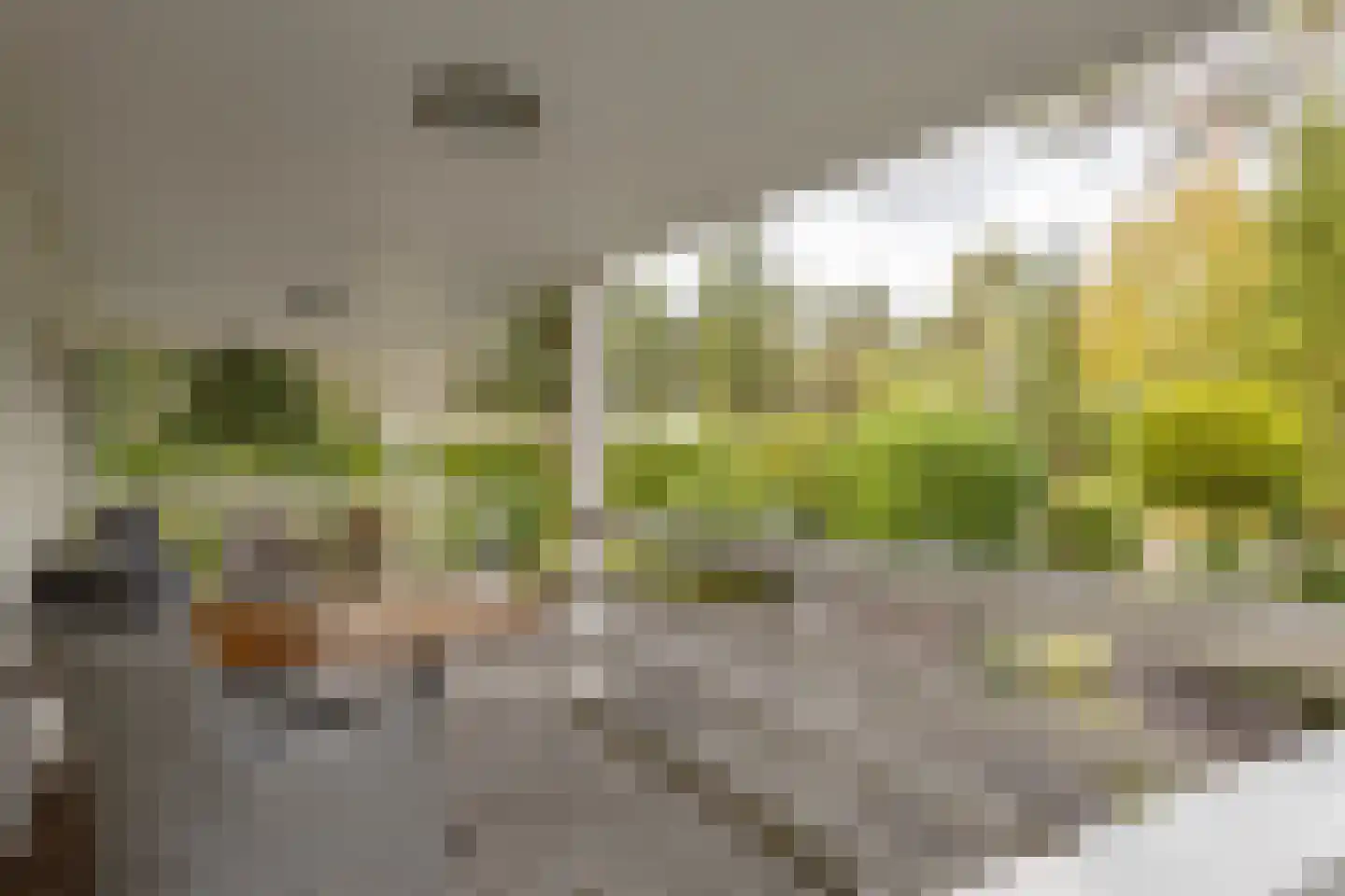 Potdijk 8 E23 Markelo thumbnail 7