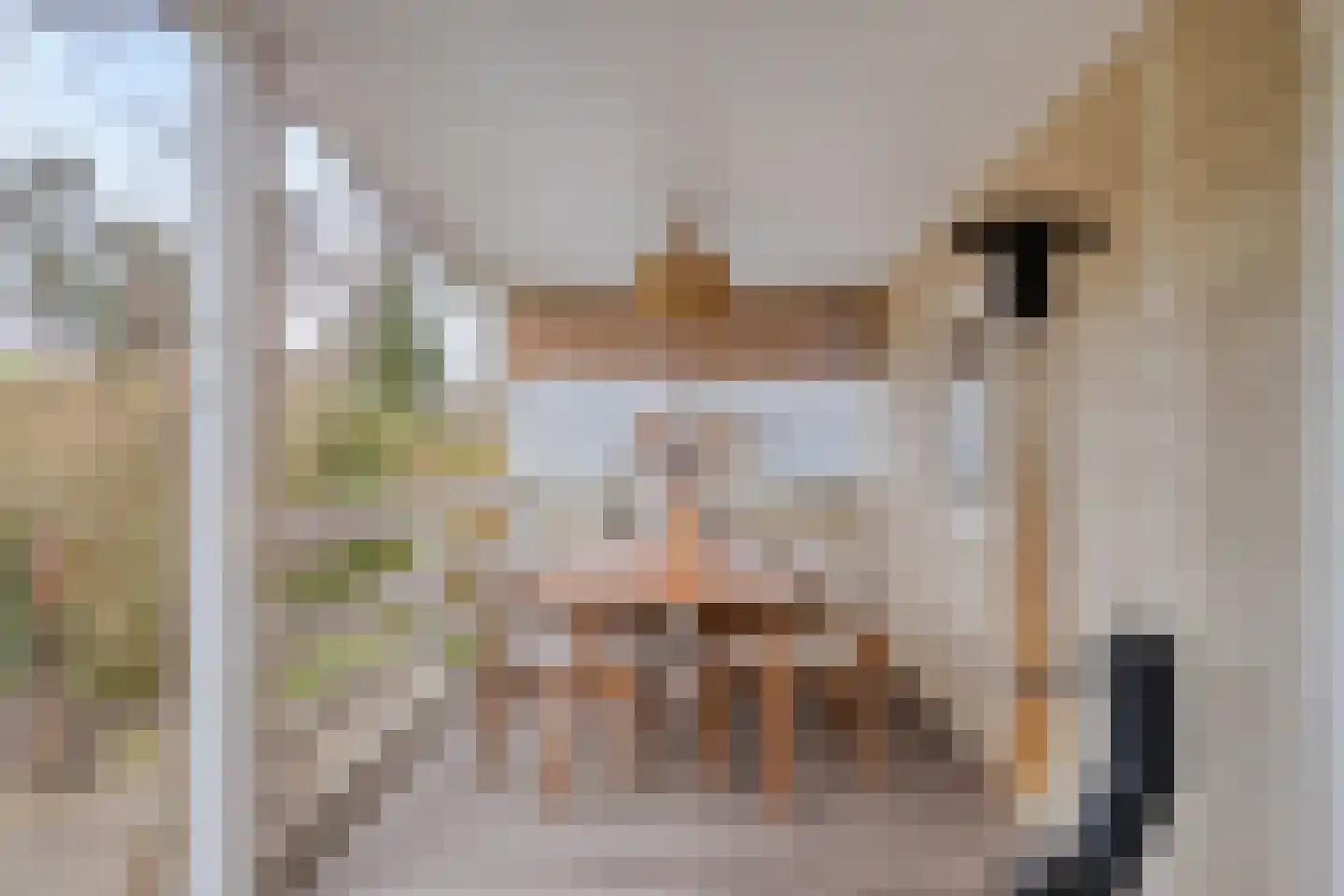 Potdijk 8 E26 Markelo thumbnail 11