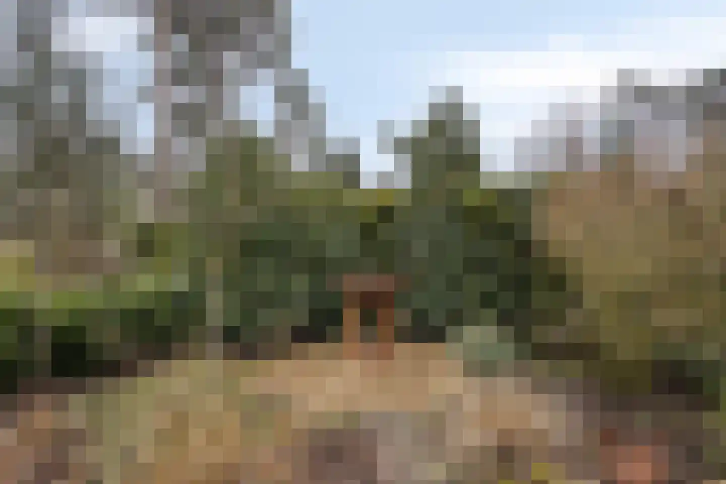 Potdijk 8 E26 Markelo thumbnail 24