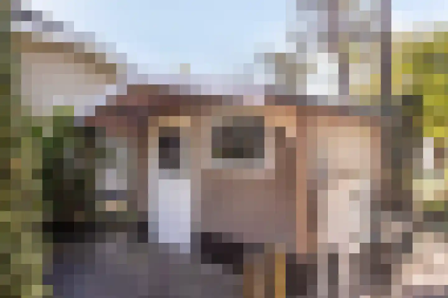 Potdijk 8 E26 Markelo thumbnail 25