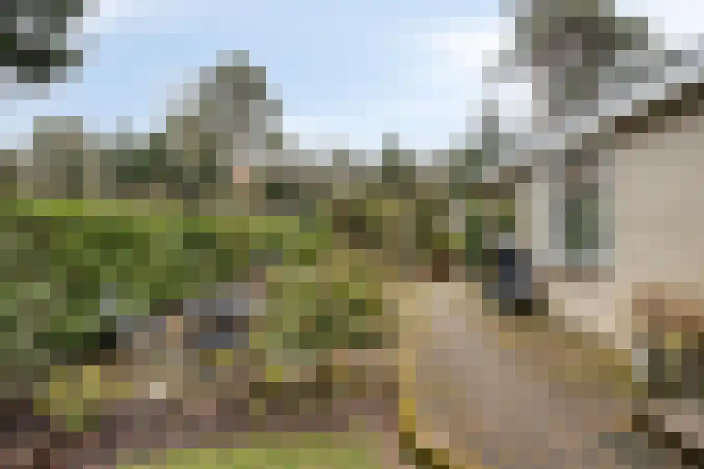 Potdijk 8 E26 Markelo thumbnail 25