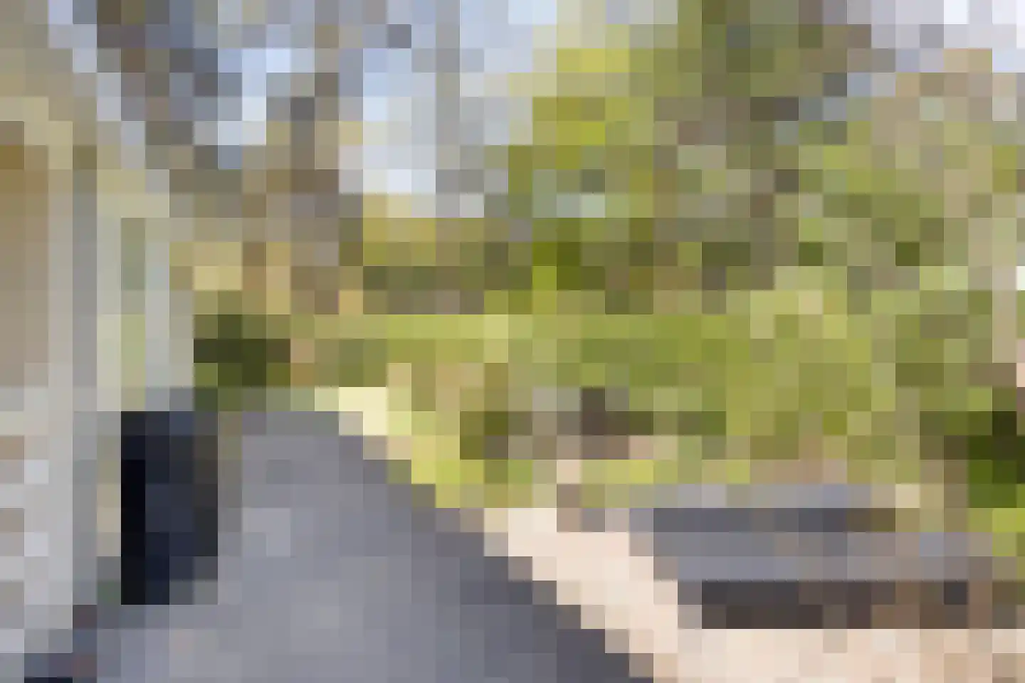 Potdijk 8 E26 Markelo thumbnail 4