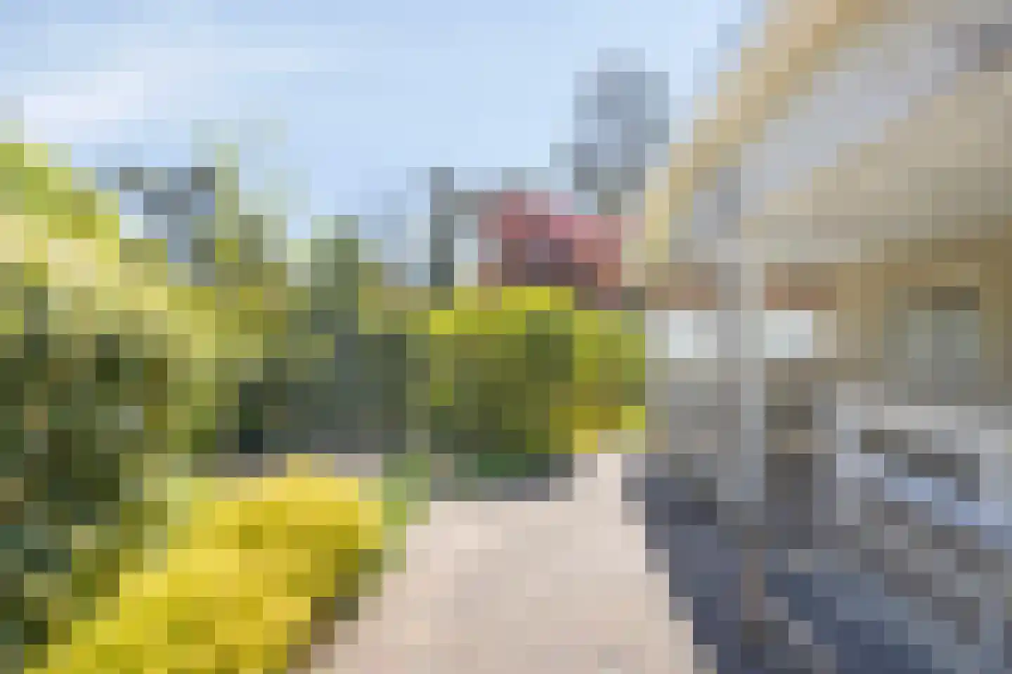Potdijk 8 E26 Markelo thumbnail 5