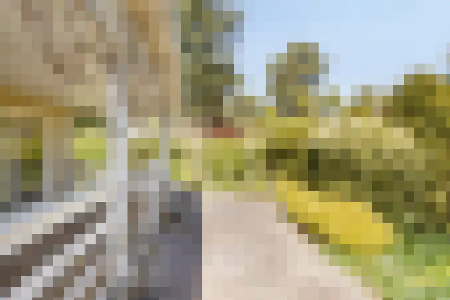 Potdijk 8 E26 Markelo thumbnail 8
