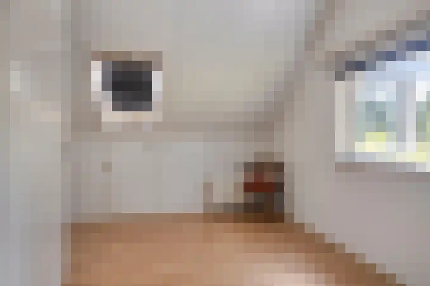 Potdijk 8 E36 Markelo thumbnail 23