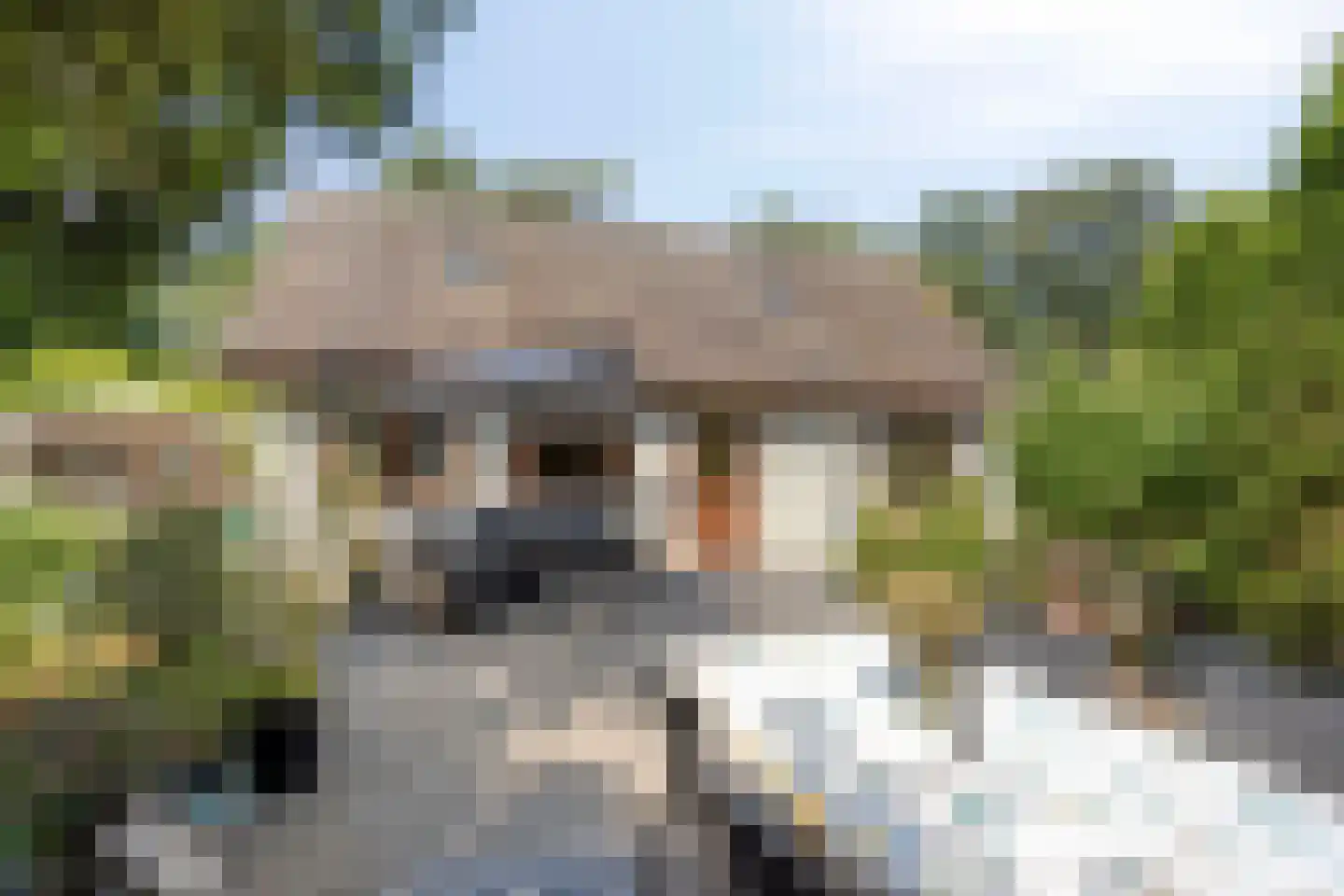 Potdijk 8 E36 Markelo thumbnail 25