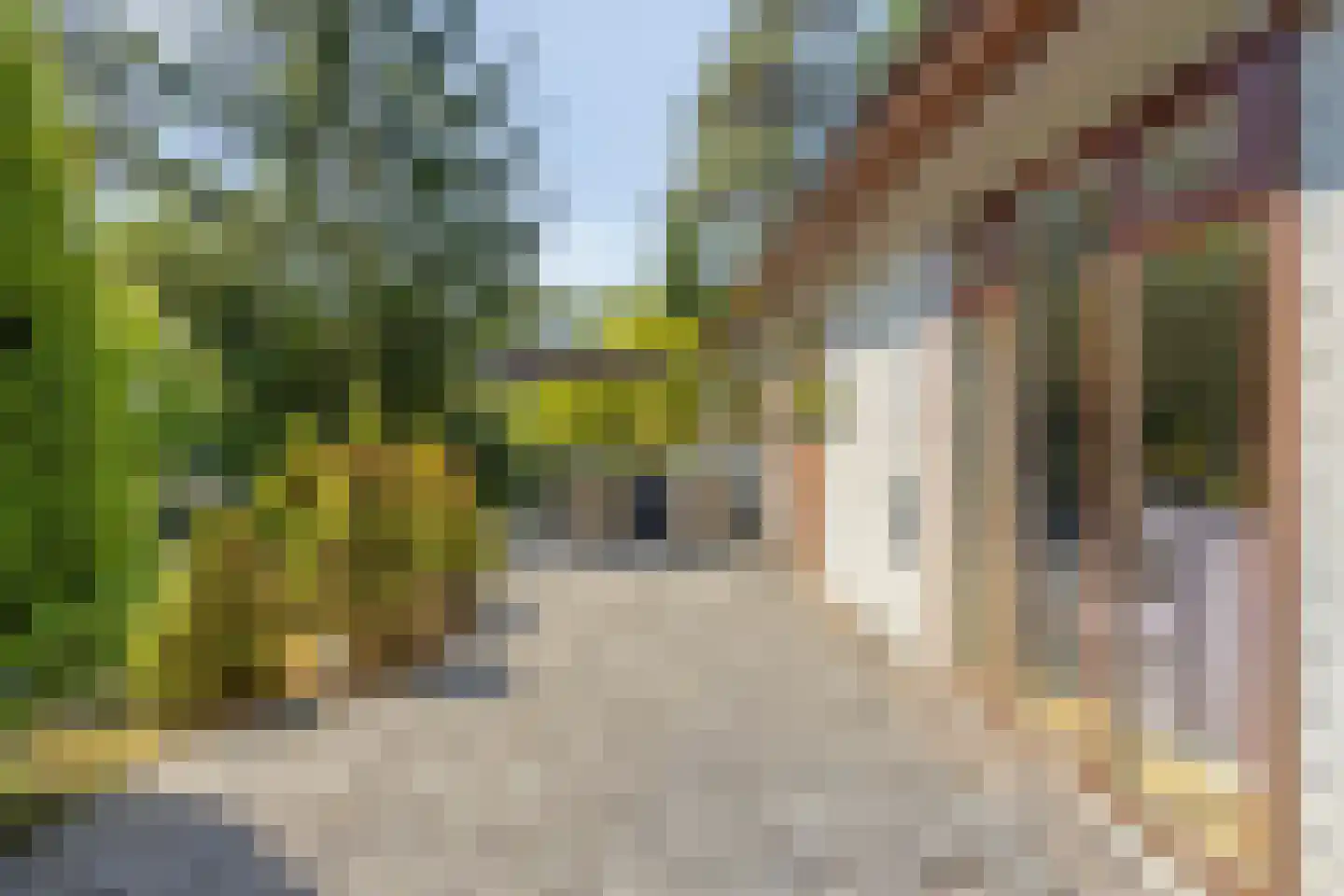 Potdijk 8 E36 Markelo thumbnail 26