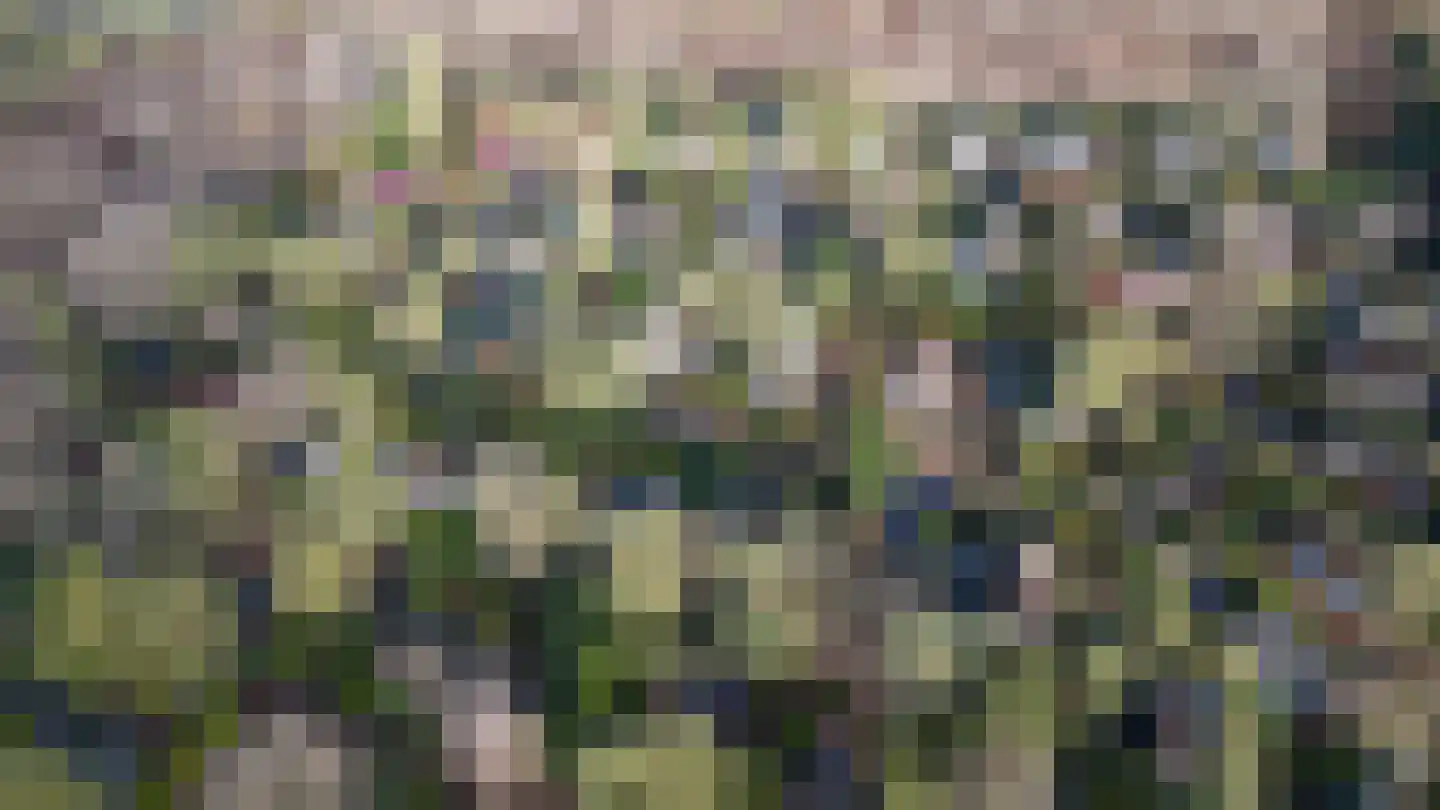 Potdijk 8 E36 Markelo thumbnail 32