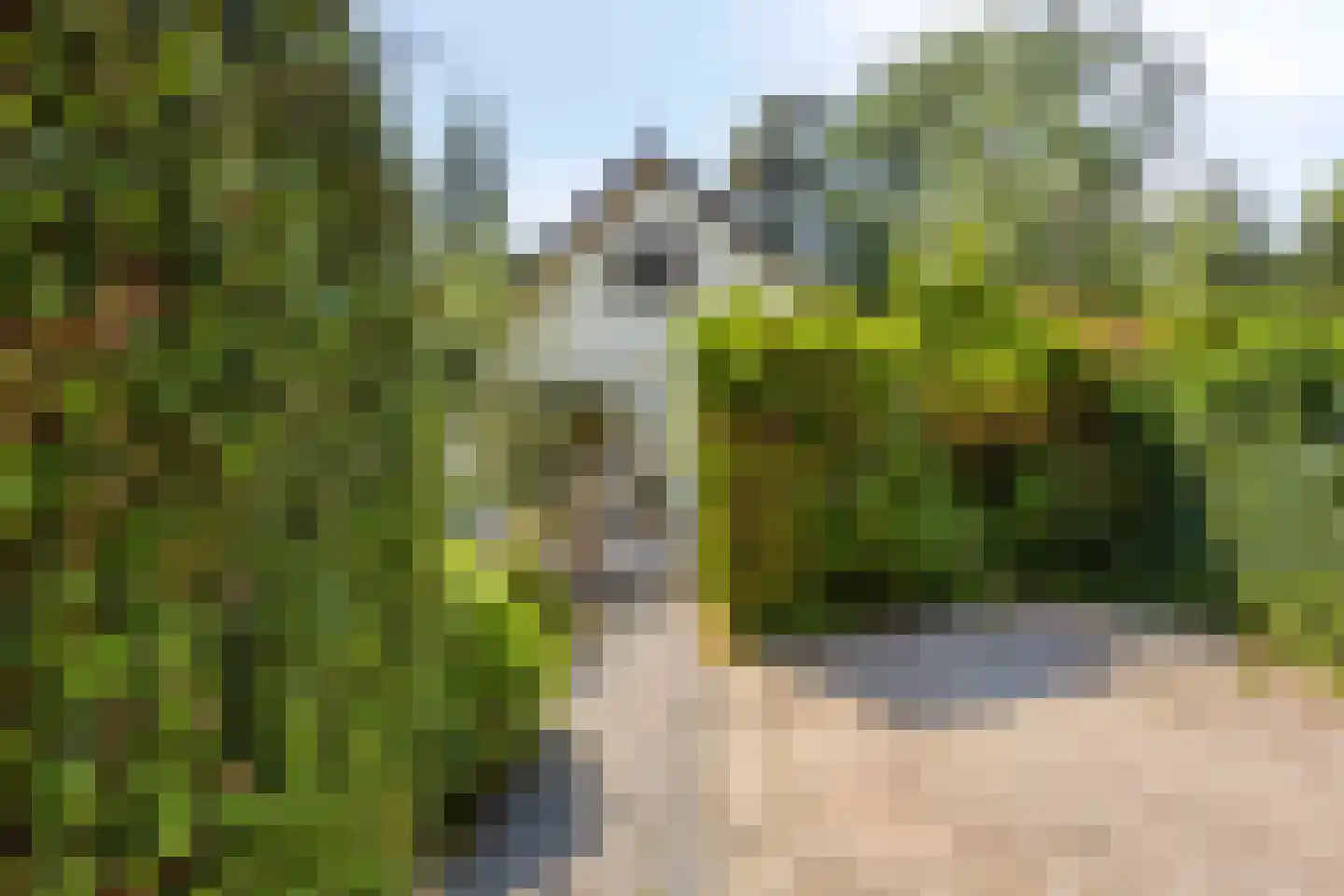 Potdijk 8 E36 Markelo thumbnail 4