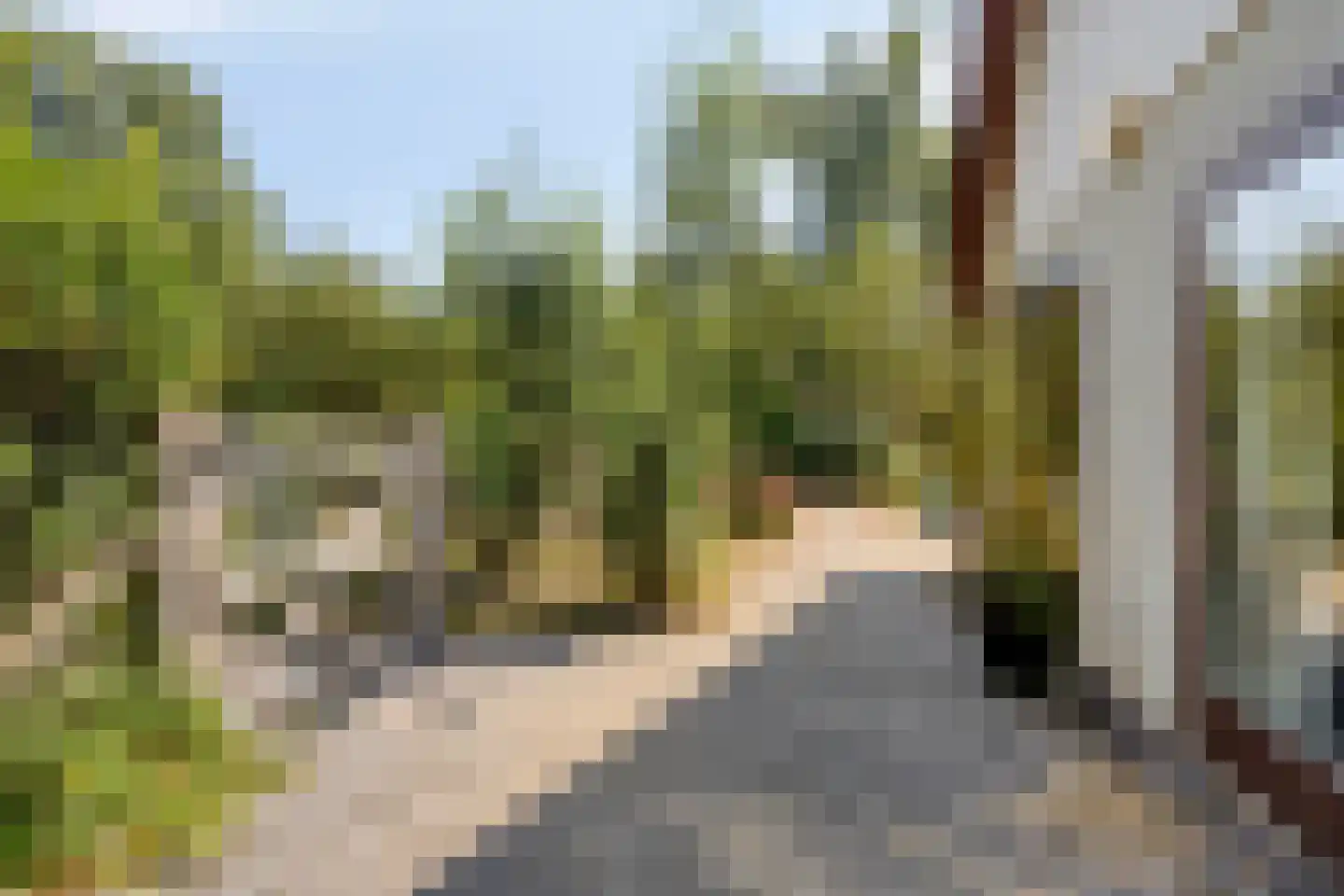Potdijk 8 E36 Markelo thumbnail 5