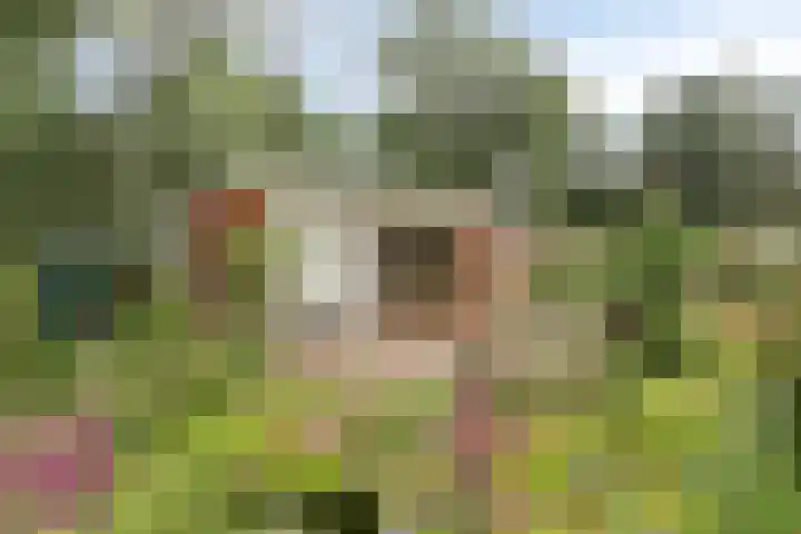 Potdijk 8 G06 Markelo
