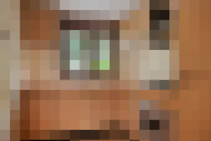 Potdijk 8 G06 Markelo thumbnail 10
