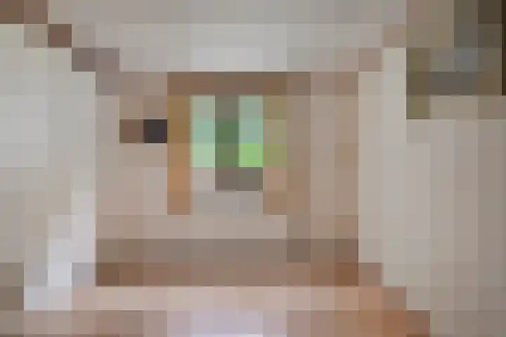 Potdijk 8 G06 Markelo thumbnail 12