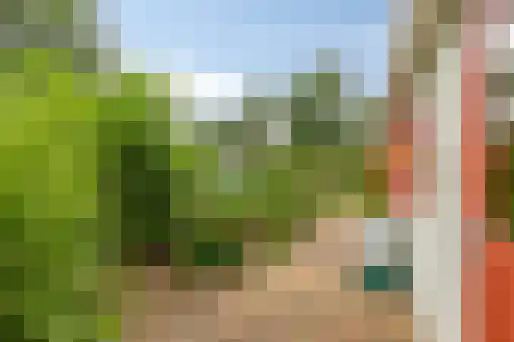 Potdijk 8 G06 Markelo thumbnail 20