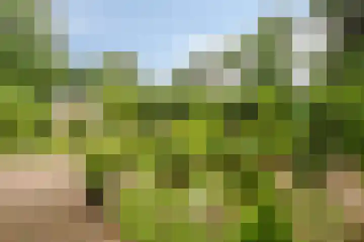 Potdijk 8 G06 Markelo thumbnail 21
