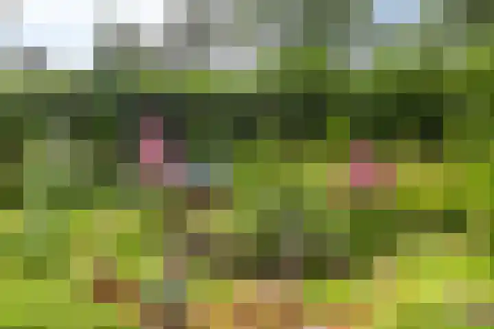 Potdijk 8 G06 Markelo thumbnail 22