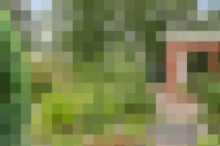 Potdijk 8 G06 Markelo thumbnail 24