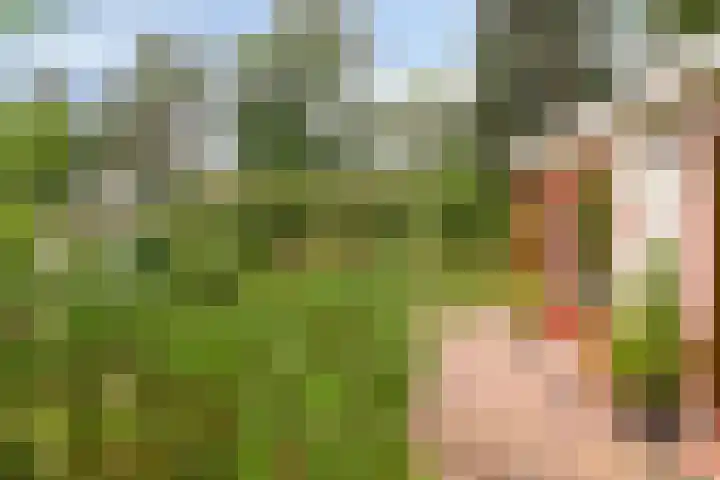 Potdijk 8 G06 Markelo thumbnail 25
