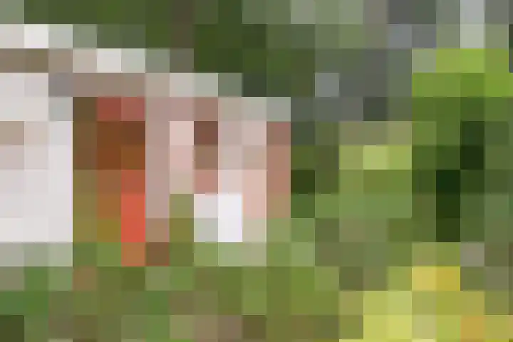 Potdijk 8 G06 Markelo thumbnail 26