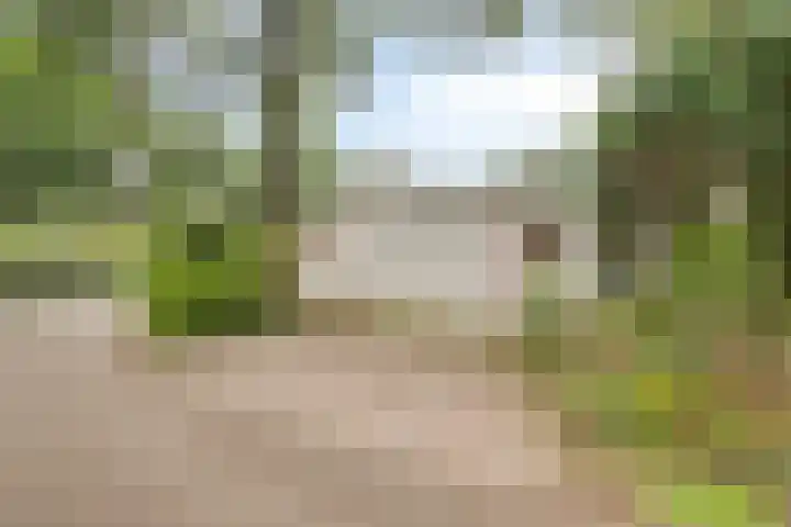 Potdijk 8 G06 Markelo thumbnail 4