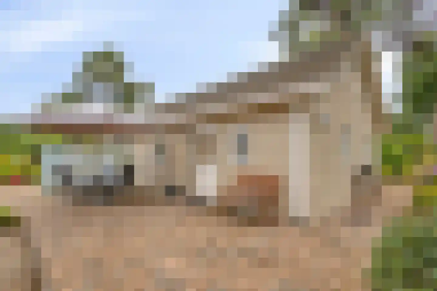 Potdijk 8 G26 Markelo thumbnail 10