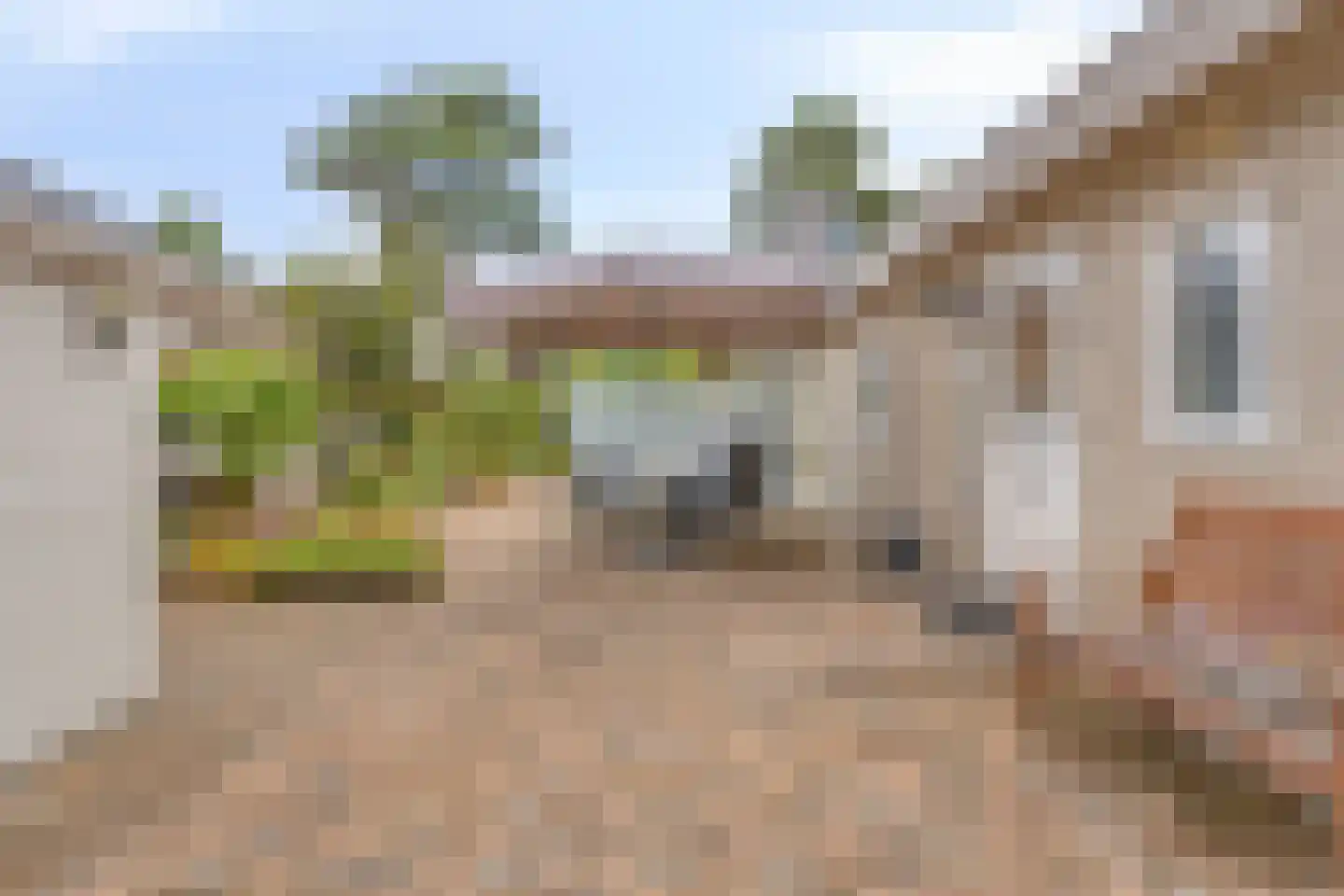 Potdijk 8 G26 Markelo thumbnail 11