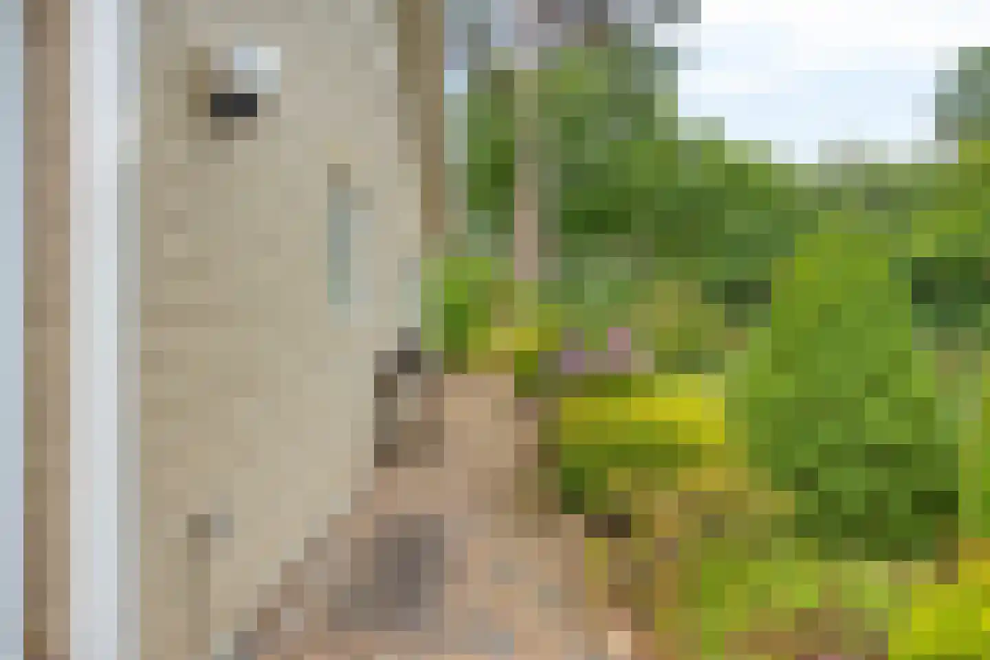Potdijk 8 G26 Markelo thumbnail 29