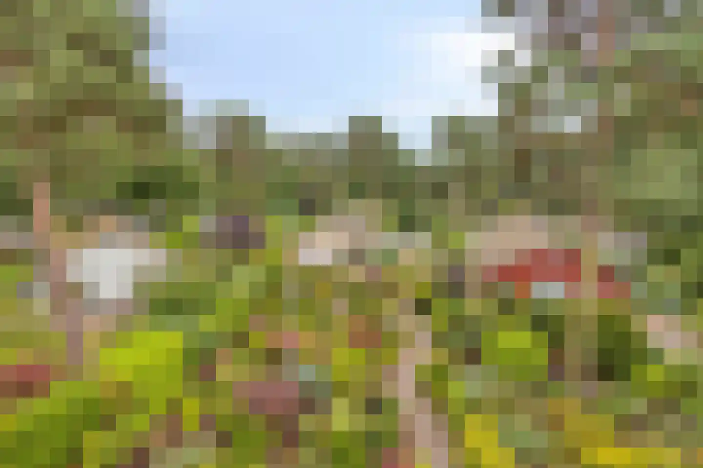 Potdijk 8 G26 Markelo thumbnail 4