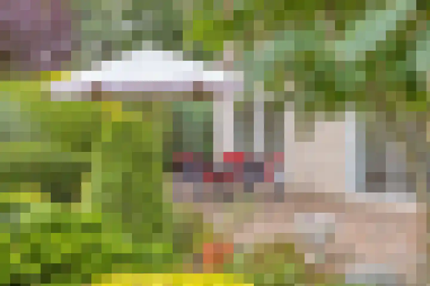 Potdijk 8 G26 Markelo thumbnail 6