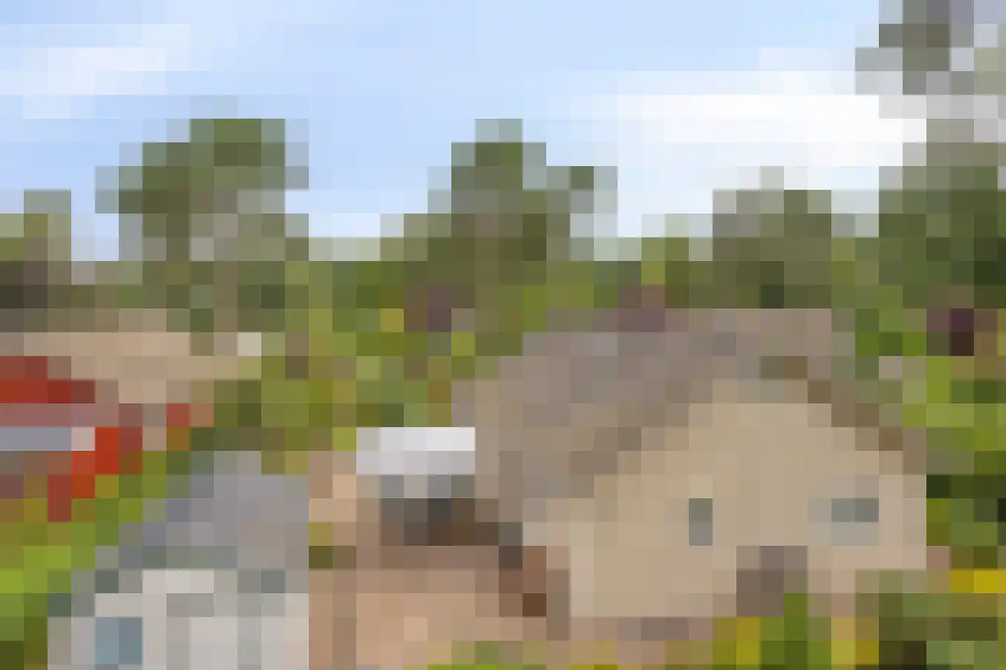 Potdijk 8 G26 Markelo thumbnail 8
