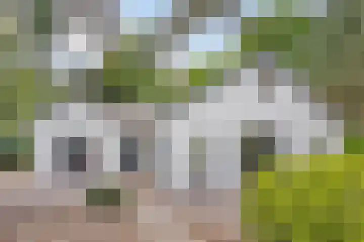 Potdijk 8 G37 Markelo thumbnail 26