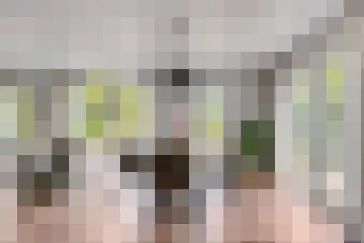 Potdijk 8 G37 Markelo thumbnail 8
