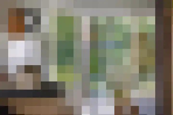 Potdijk 8 G51 Markelo thumbnail 10