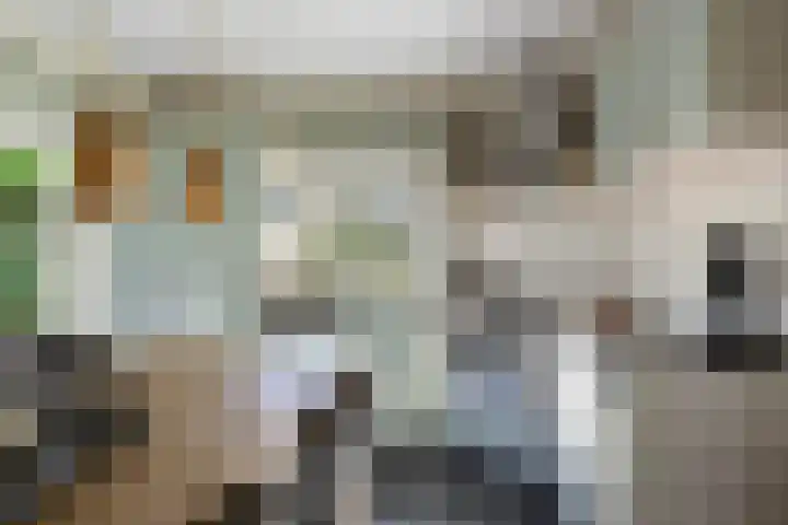 Potdijk 8 G51 Markelo thumbnail 11