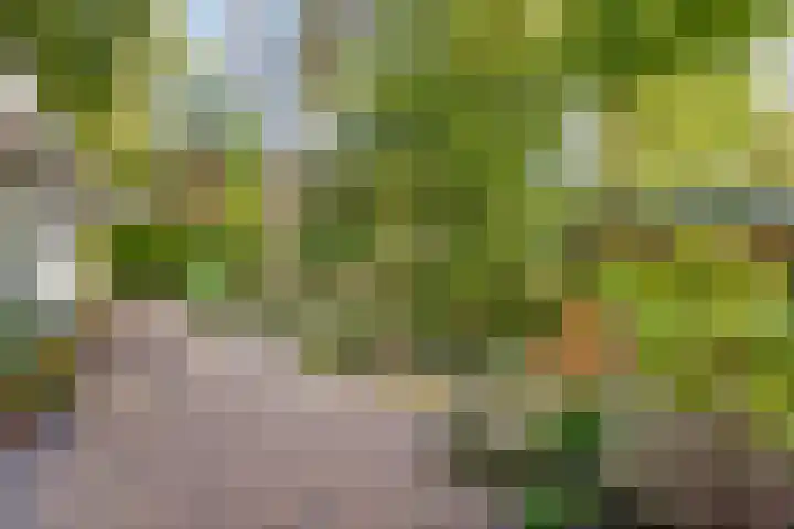 Potdijk 8 G51 Markelo thumbnail 24